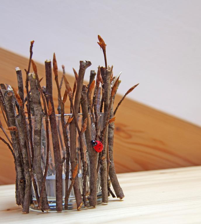 Le Castagne Matte Bed & Breakfast Stenico Bagian luar foto