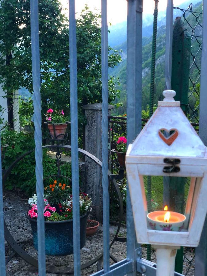 Le Castagne Matte Bed & Breakfast Stenico Bagian luar foto